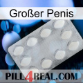 Großer Penis 16